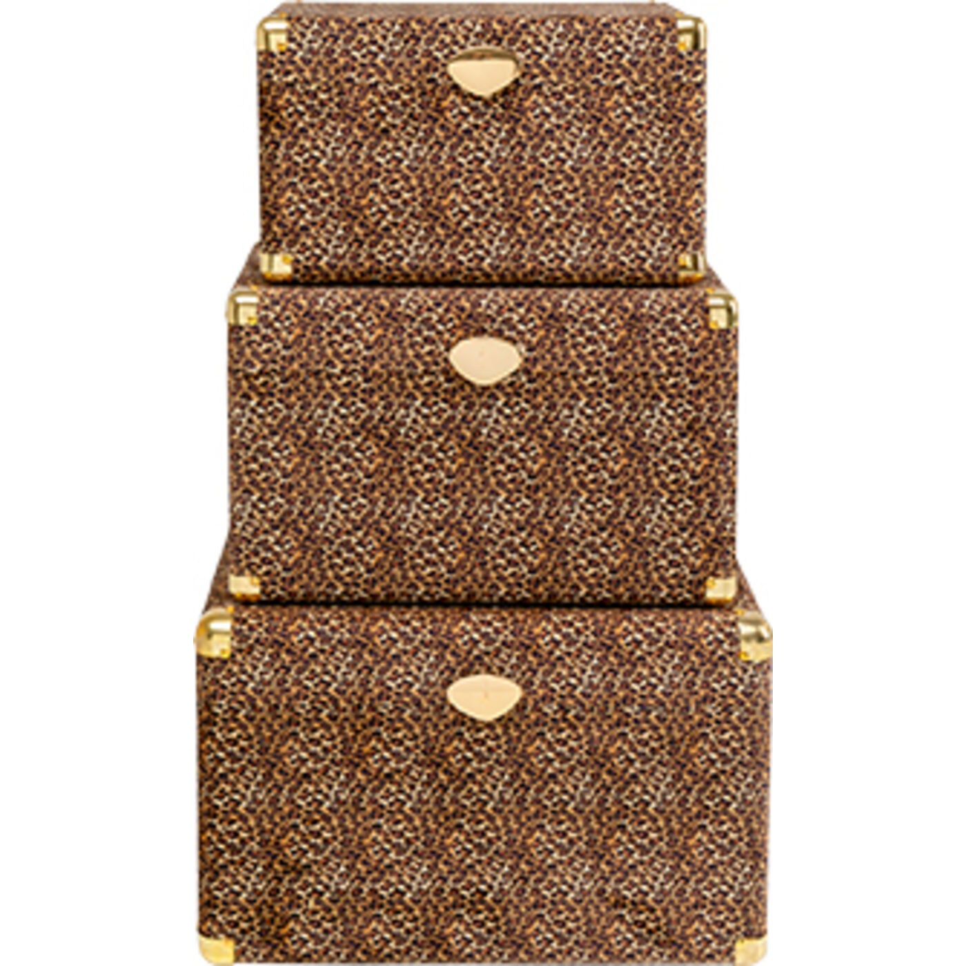 Baule Wild Animal Leo (3/Set)