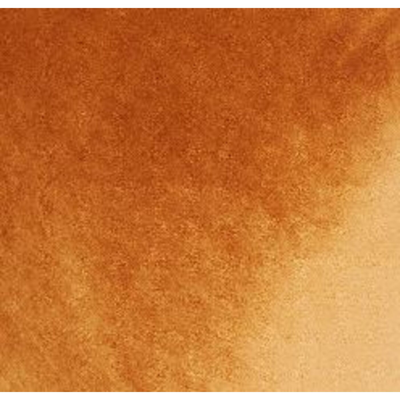 Campione di tessuto JS velluto curry 10x10cm