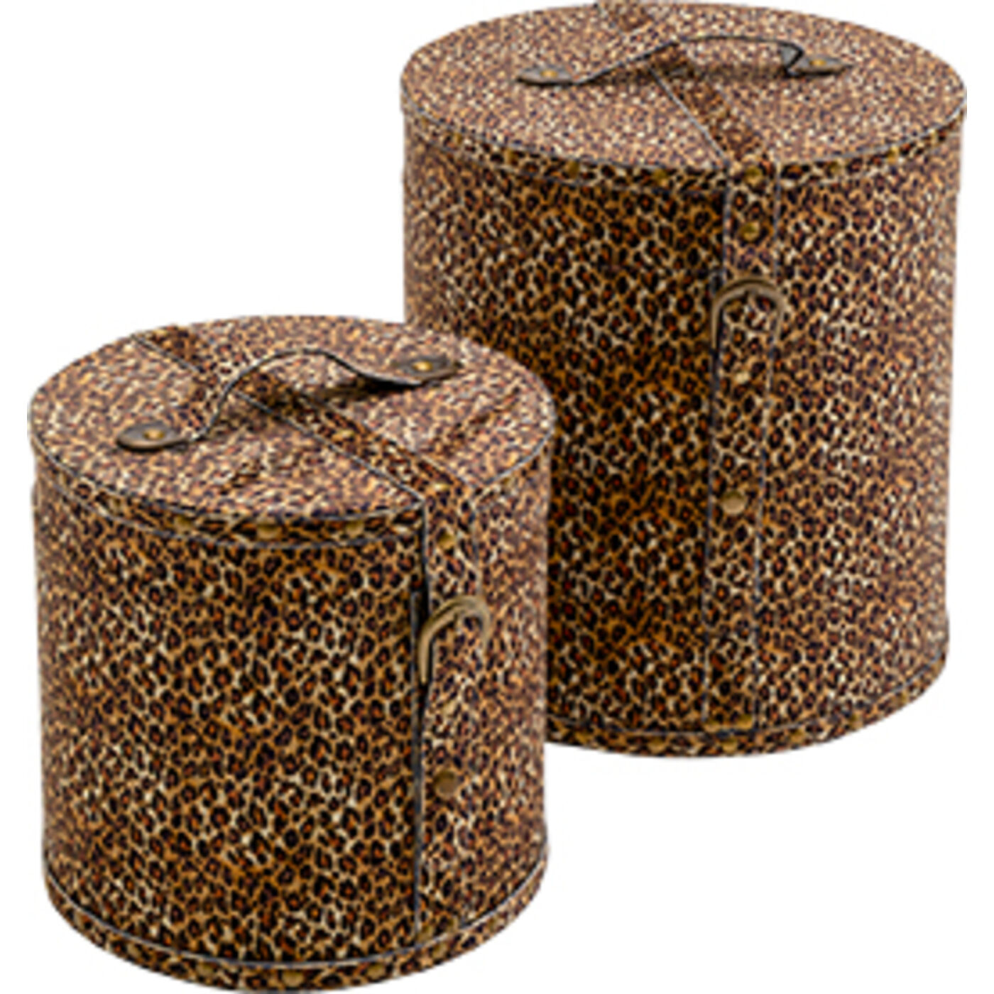 Box Wild Animal Leo (2/Set)