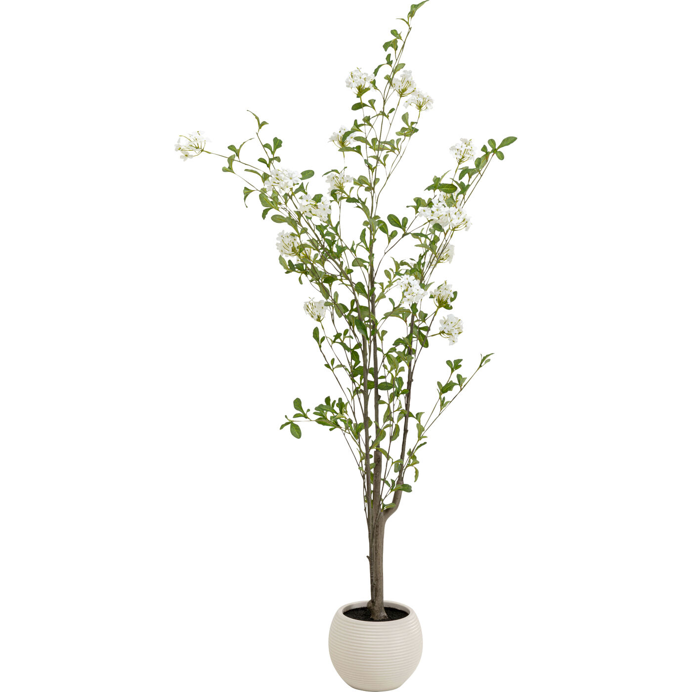 Deko Pflanze Plumbago Baum 152cm