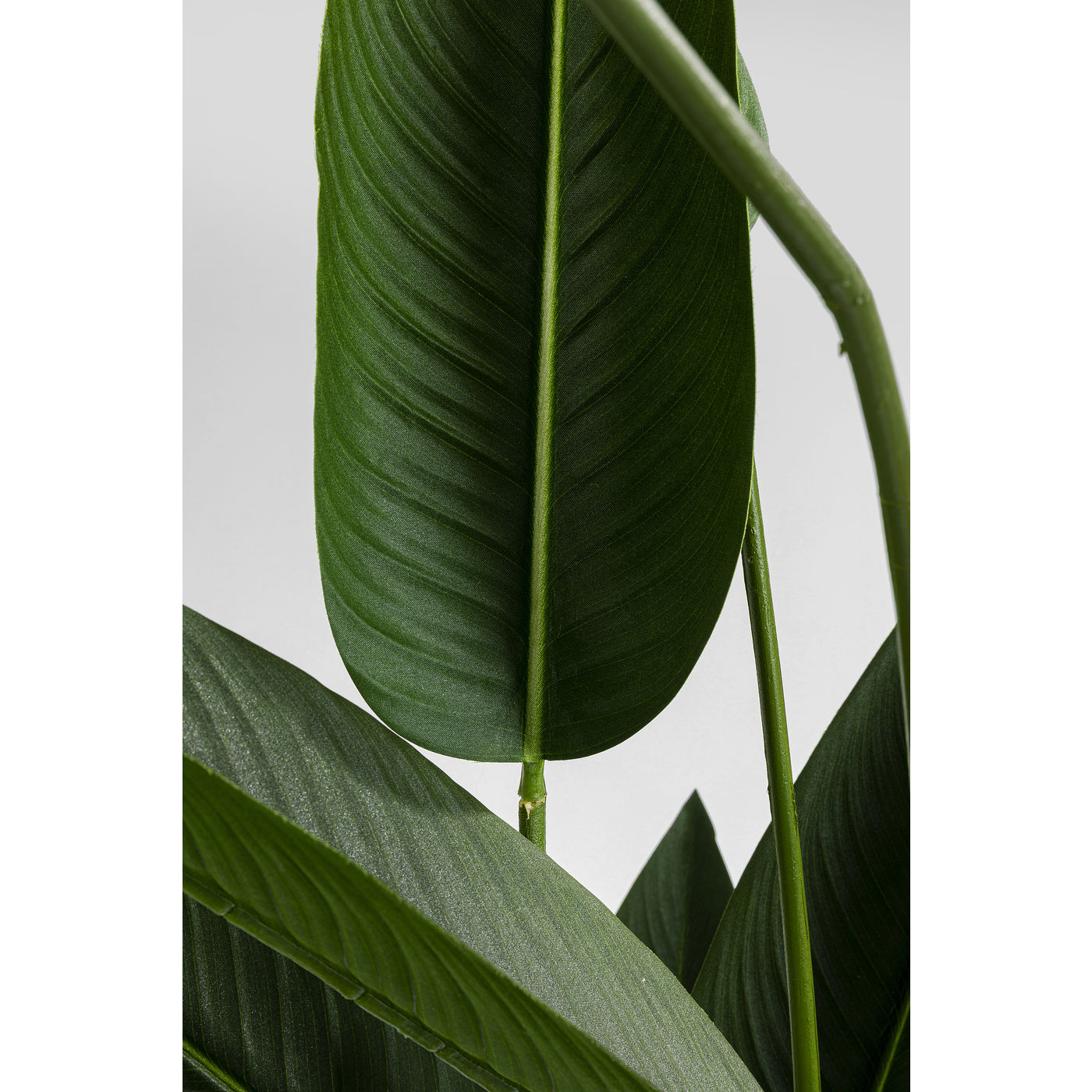 KARE-51684-detail-a-1400x1400