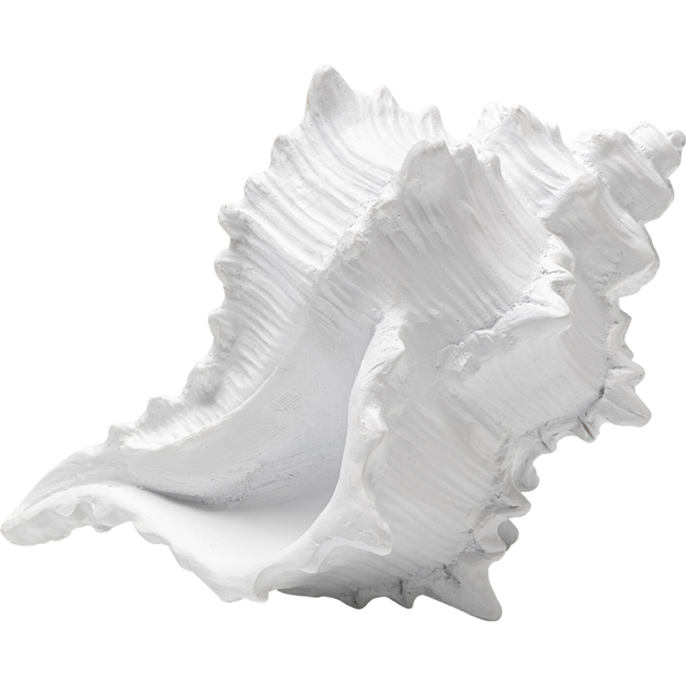 Deko Objekt Conch 19cm