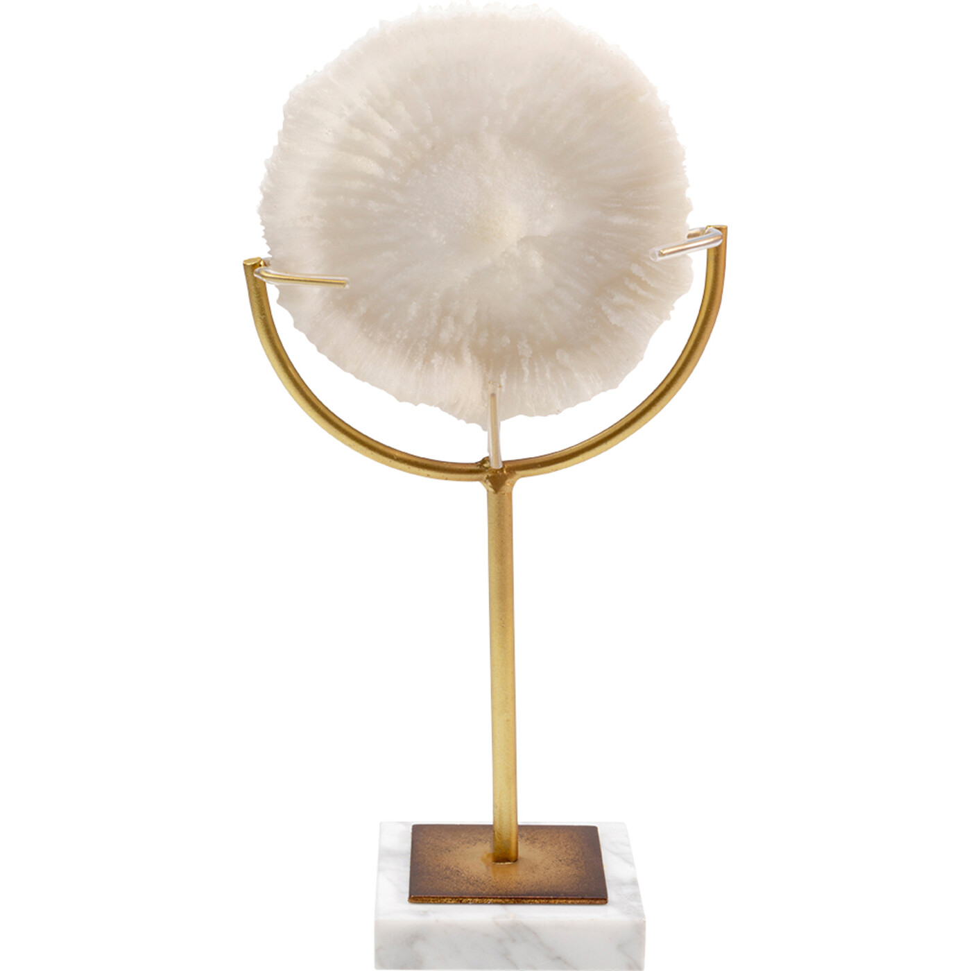 Deko Objekt Coral 29cm