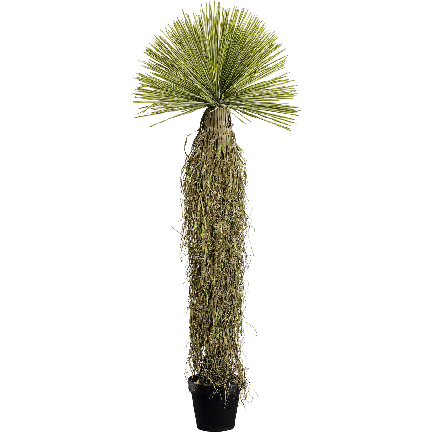 Deko Pflanze Yucca Rostrata 170cm