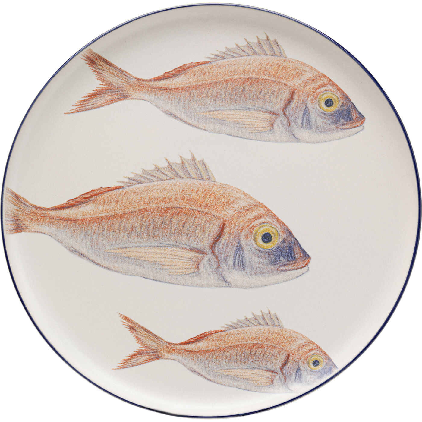 Teller Poisson Blau Ø27cm Sortiert