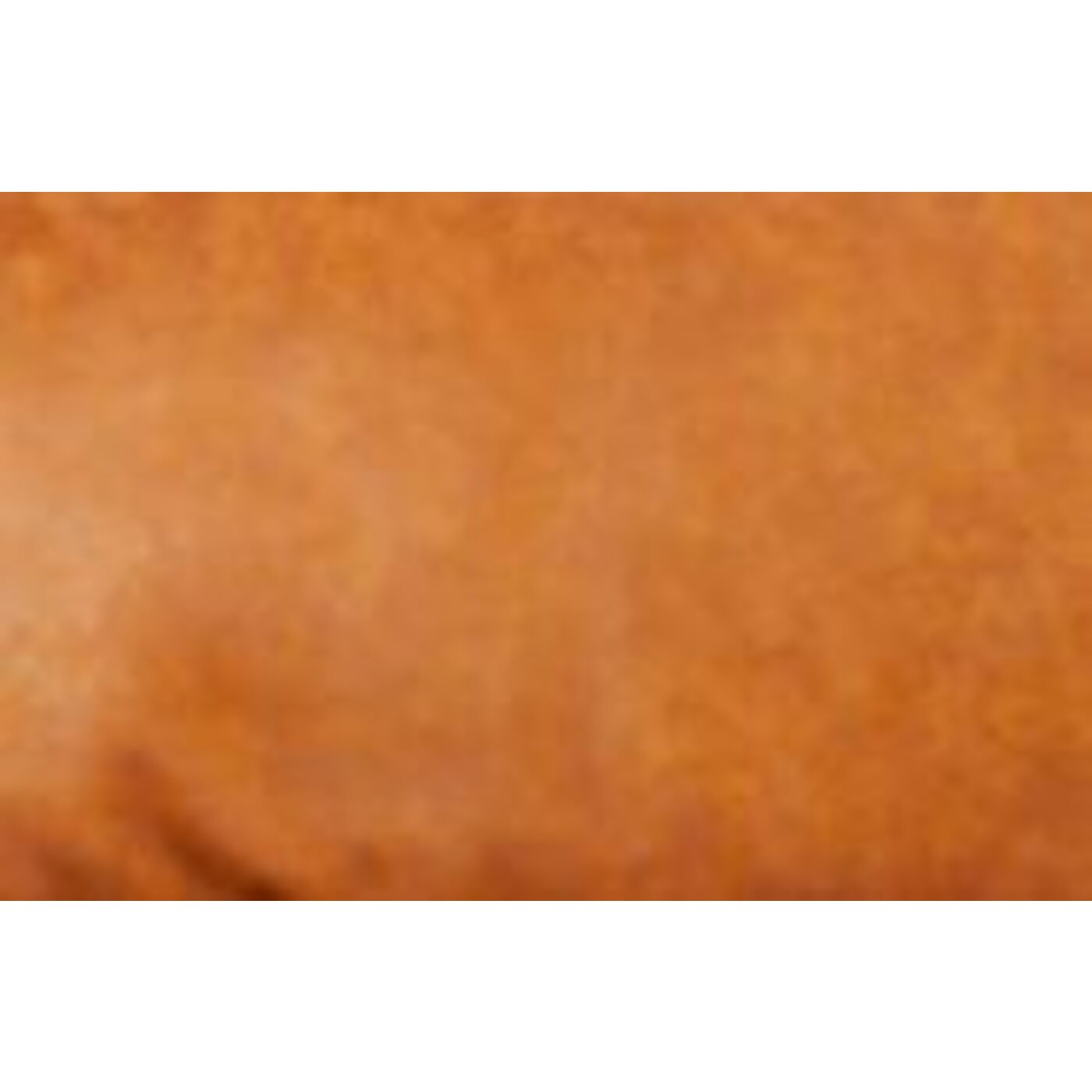 Fabric Swatch Leather Darian Tabacco 10x10cm