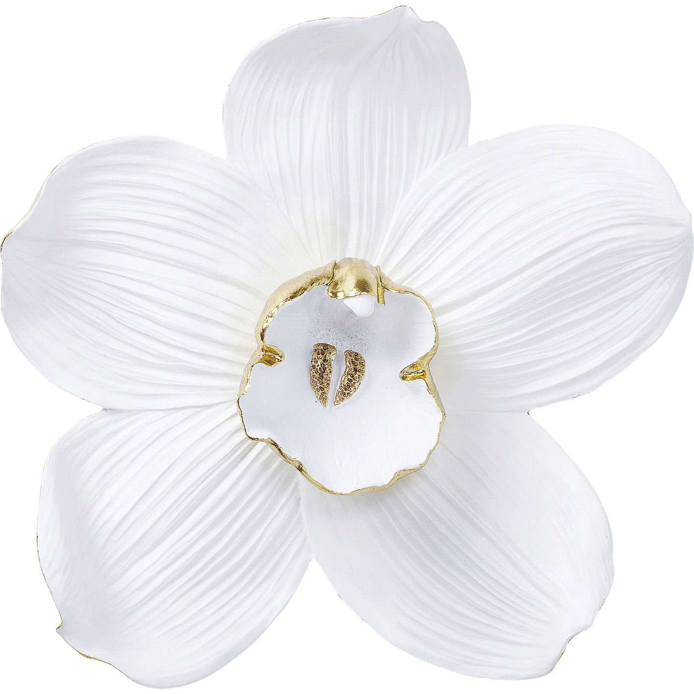 Wandobjekt Orchid Weiß 54cm