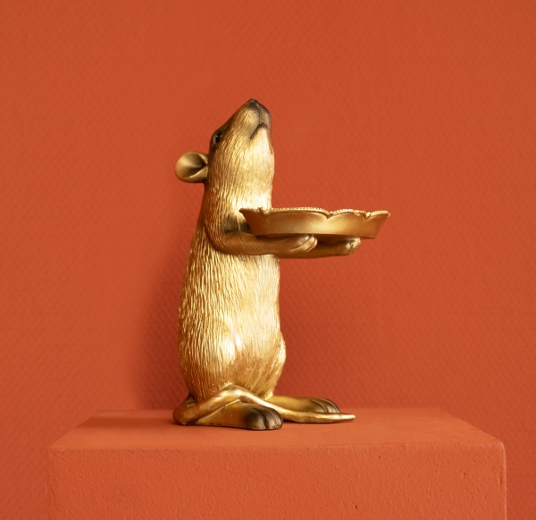 Ratte Rafael mit Schale