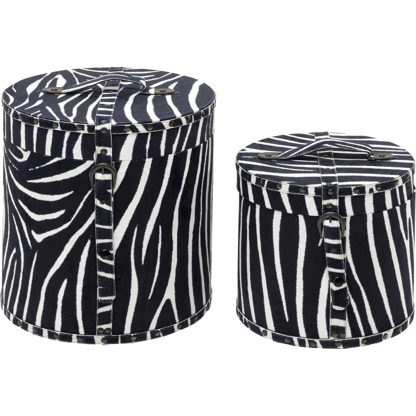 Box Wild Animal Zebra (2/Set)