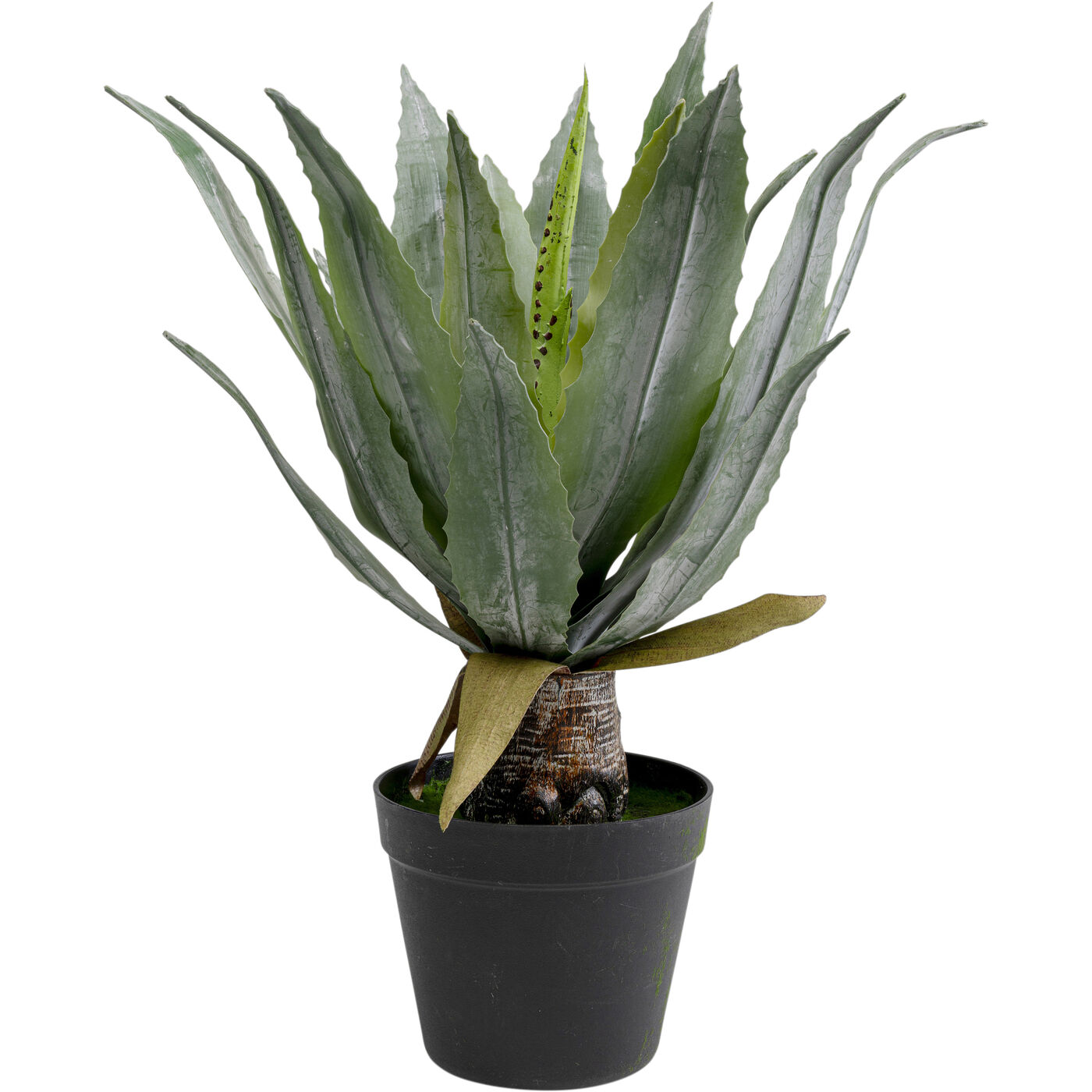 Deko Pflanze Agave 40cm