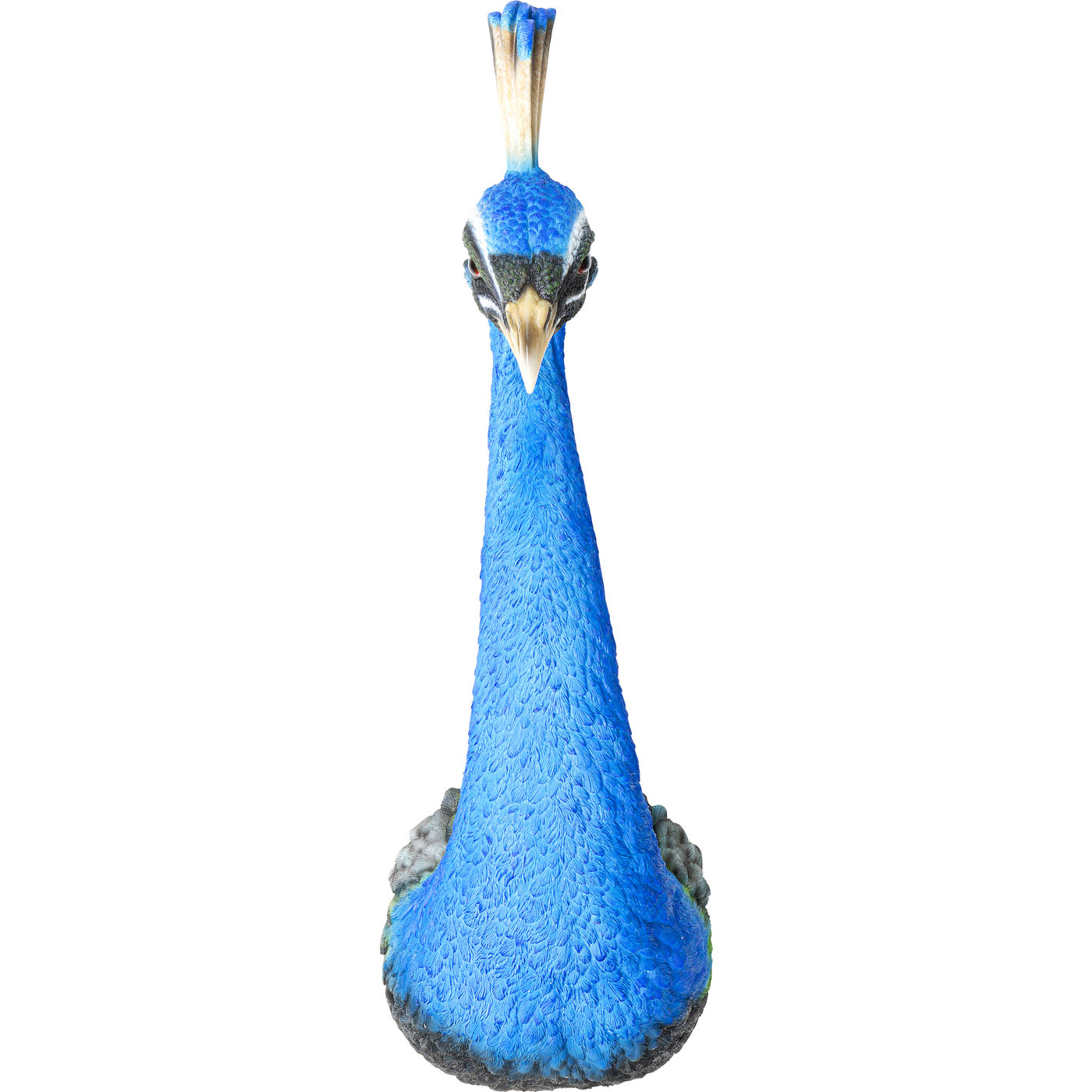 Wandobjekt Peacock