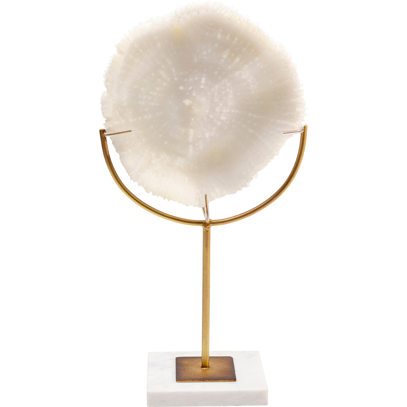 Deko Objekt Coral 39cm