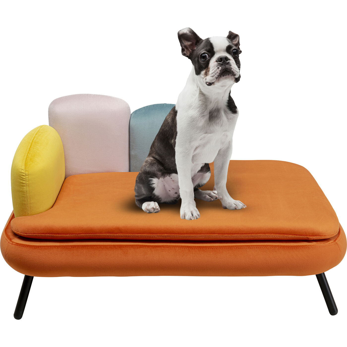 Hunde/Katzenbett Diva Orange