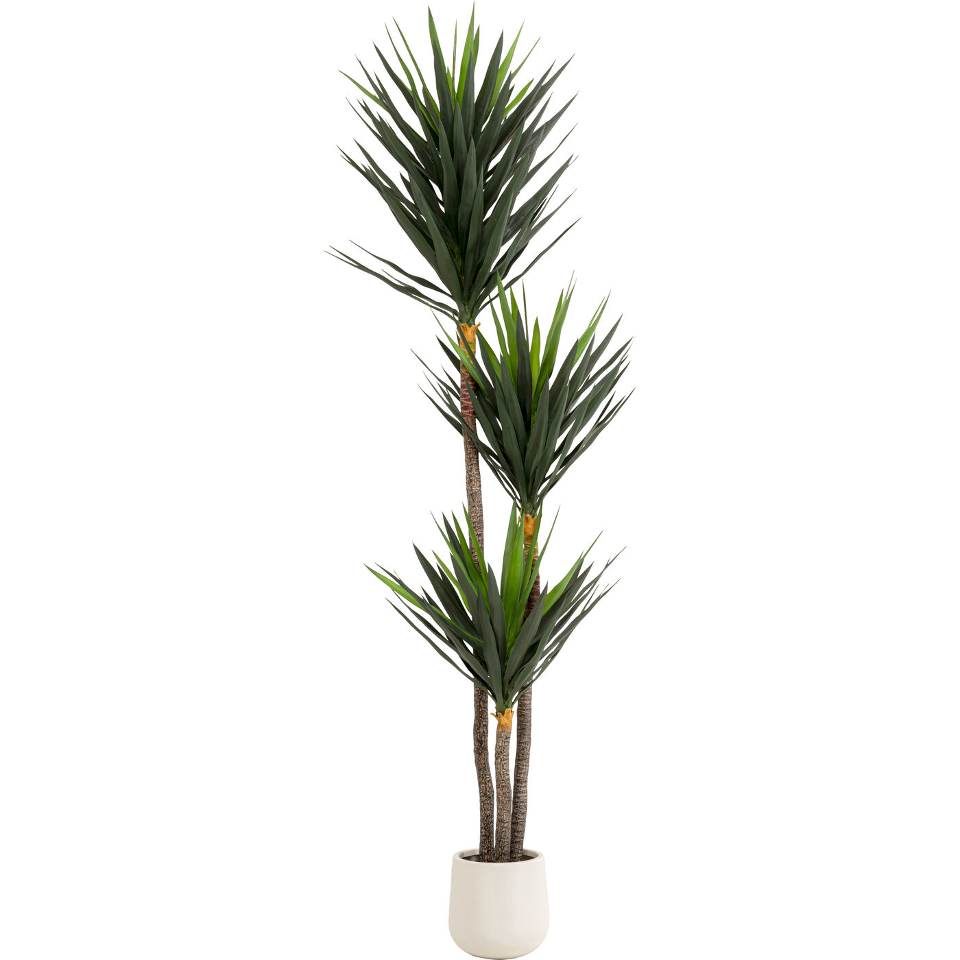 Deko Pflanze Yucca 250cm